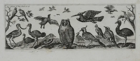 Old Master Engraving